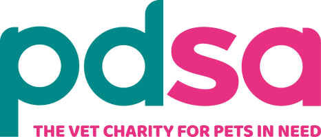 PDSA Volunteer Hub